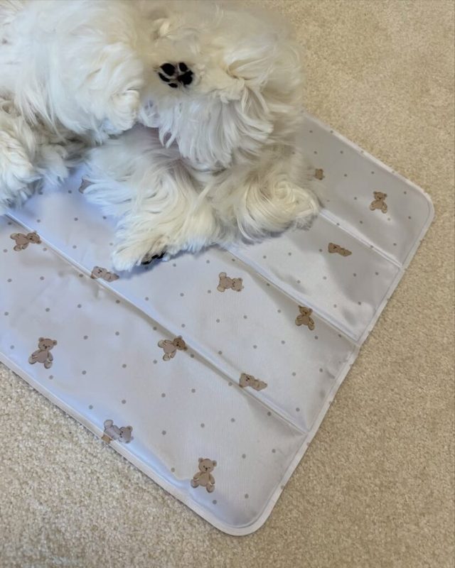 ひんやりマット