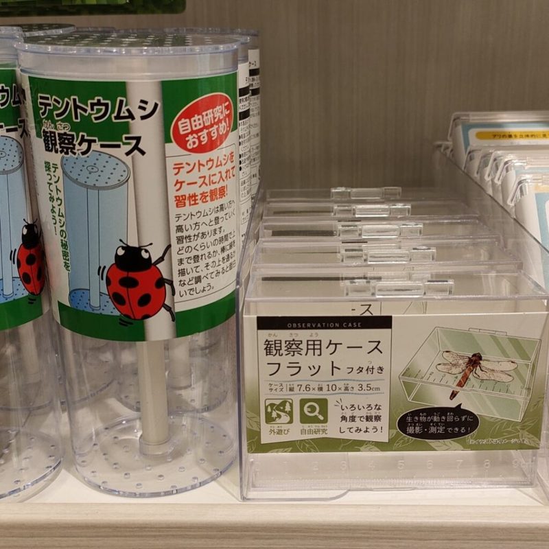虫かご