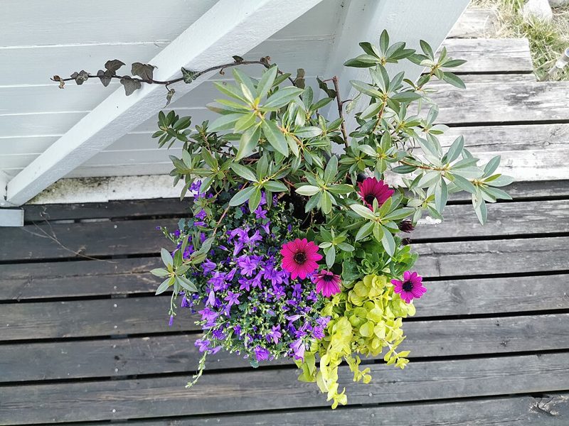 スポーツサンダル